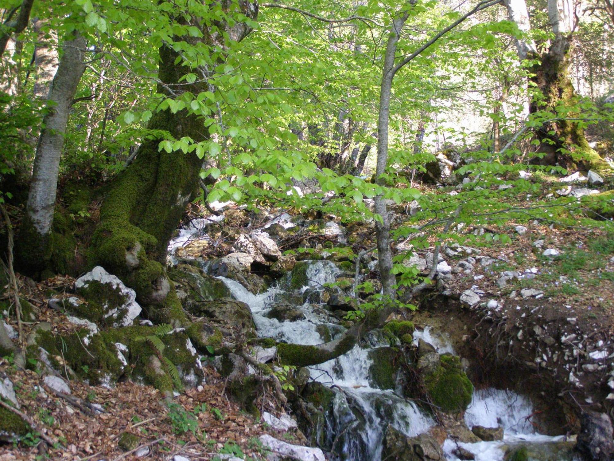 B&B Le Grazie Piaggine Buitenkant foto