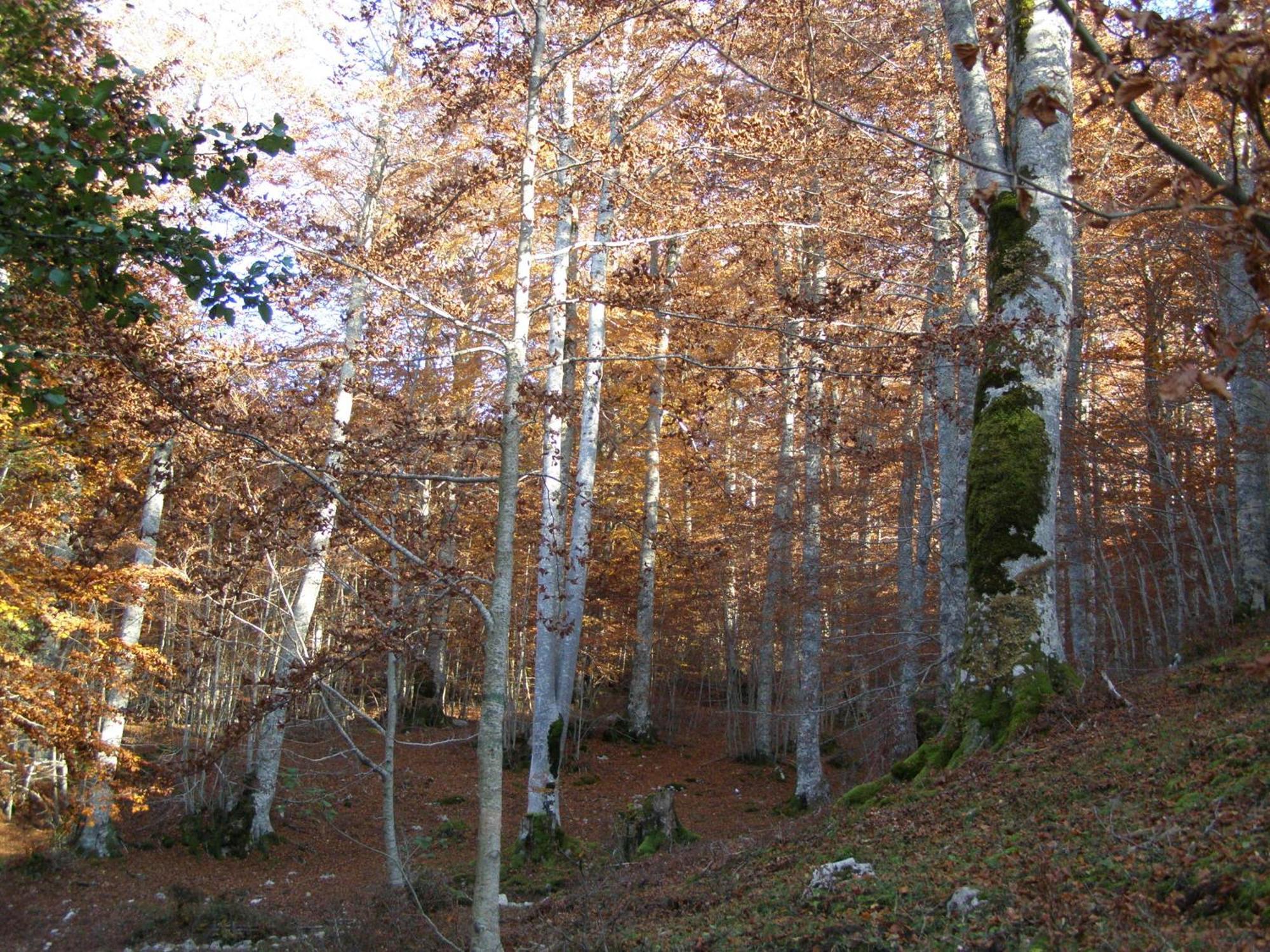 B&B Le Grazie Piaggine Buitenkant foto